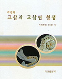 교합과 교합면 형성