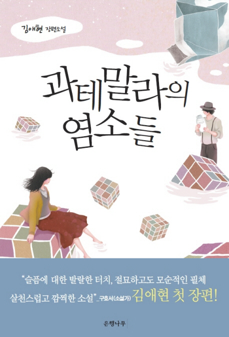 과테말라의 염소들  : 김애현 장편소설