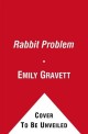 The Rabbit Problem