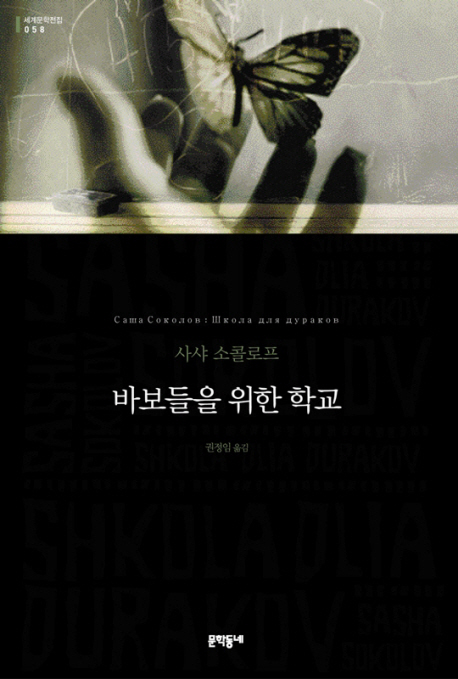 바보들을 위한 학교  : 사샤 소콜로프 장편소설
