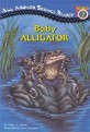 Baby Alligator (Paperback + CD 1장)