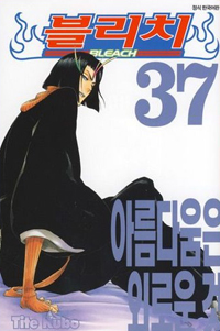 블리치 37 (아름다움은 외로운 것)