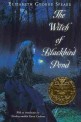 (The)Witch of blackbird pond