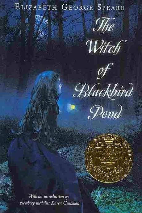 (The)witch of blackbird pond