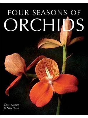 Four seasons of orchids