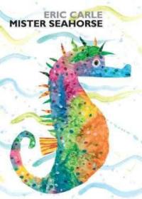 Mister seahorse