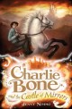 Charlie Bone and the Castle of Mirrors (Paperback)