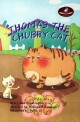 Thomas the chubby cat