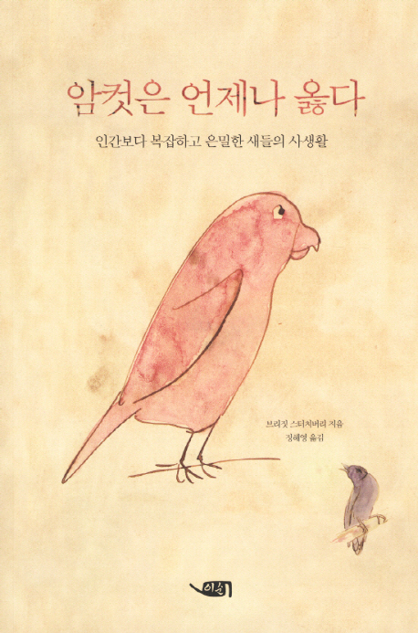 암컷은 언제나 옳다 : 인간보다 복잡하고 은밀한 새들의 사생활 표지 이미지