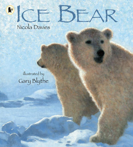 Ice Bear