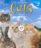 (An Animal Tale)Cats