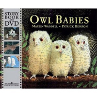 Owl Babies