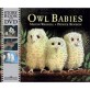 Owl Babies (Package)