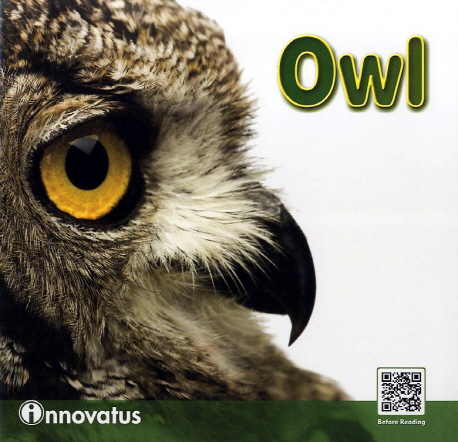 Owl 표지 이미지