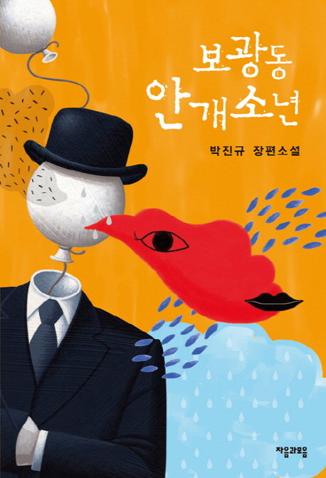 보광동 안개소년 : 박진규 장편소설 표지 이미지