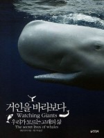 거인광고 이미지