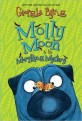 Molly Moon & the Morphing Mystery (Paperback)
