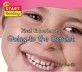 First Experiences: Going to the Dentist:Start Reading (Hardcover)