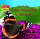 Life Cycles Caterpillar to Butterfly:Start Talking (Hardcover)