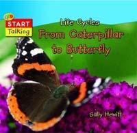 Life cycles caterpillar to butterfly