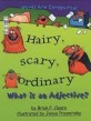 Hairy scary ordinary : What is an adjective?