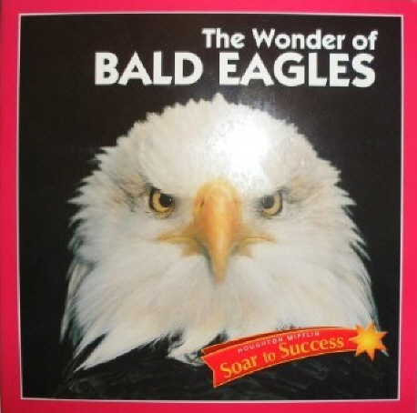 (The) wonder of bald eagles