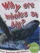 Why are whales so big?