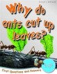 Why Do Ants Cut Up Leaves? (Paperback)