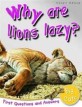 Why are lions lazy?