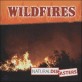 Wild Fires : Natural disaters