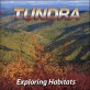 Tundra (Library)