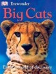 Big cats
