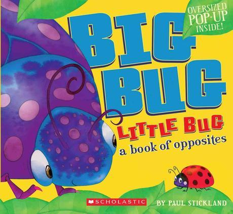 Big bug, little bug :  a book of opposites