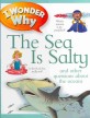 I Wonder Why The Sea is Salty (And Other Questions About the Oceans)