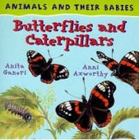 Butterflies and caterpillars