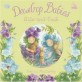 Dewdrop Babies: Hide and Seek (Paperback)