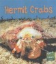 Sea Life: Hermit Crabs (Hardcover)