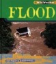 Wild Weather: Flood (Paperback)