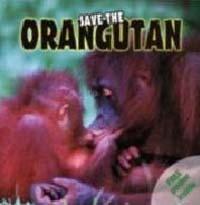 (Save the)orangutan