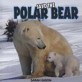 Save The Polar Bear (Hardcover)