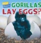 (Why Don’t)Gorillas Lay Eggs?