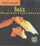 Bats (Hardcover)