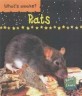 Rats (Hardcover)