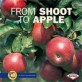 From Shoot to Apple (Paperback)
