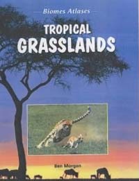 Tropical grasslands