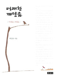 명쾌한 깨달음 : 이대로 그대로 표지 이미지