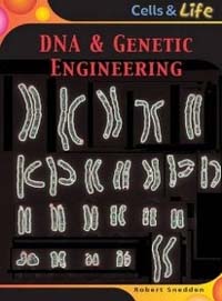 DNA and Genetic Engineering