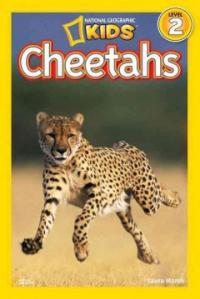 Cheetahs 