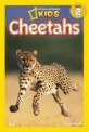 Cheetahs (Paperback) - National Geographic Kids Level 2
