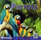 Parrots